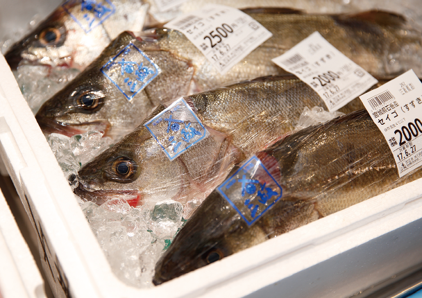 鮮魚コーナーに並ぶ新鮮な魚